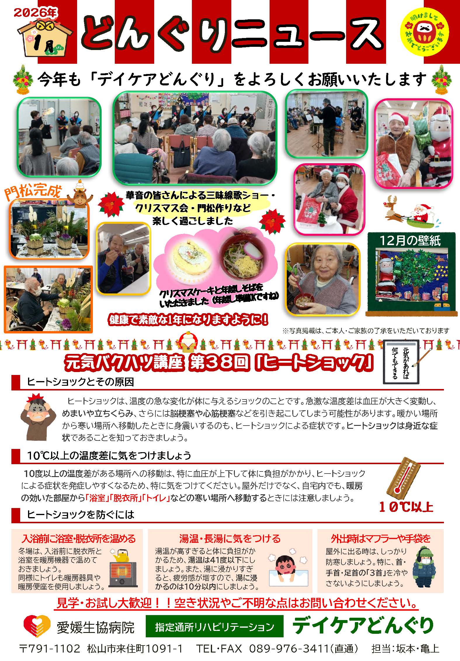 どんぐりニュース